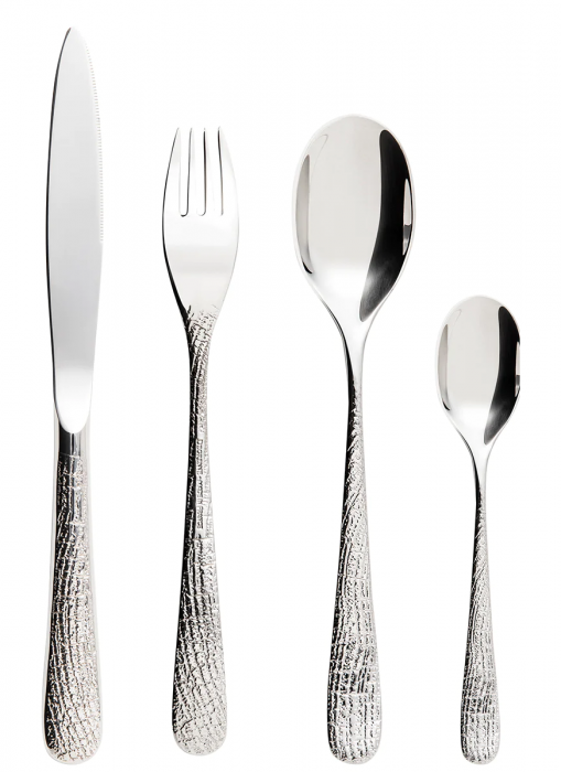 Набор столовых приборов 24 предмета, (6 столовых ложек, 6 столовых вилок, 6 чайных ложек, 6 столовых ножей) SUPERNATUR, DEGRENNE