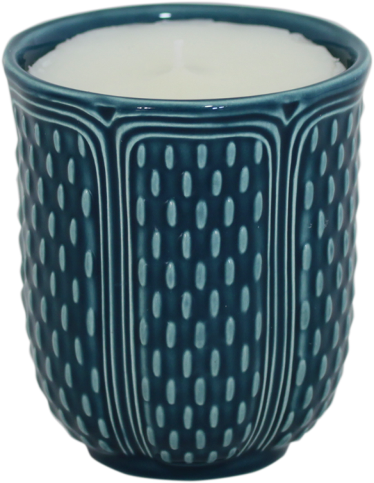 Свеча парфюмированная PONT AUX CHOUX ACAPULCO (Капустный мост) 270 мл., GIEN